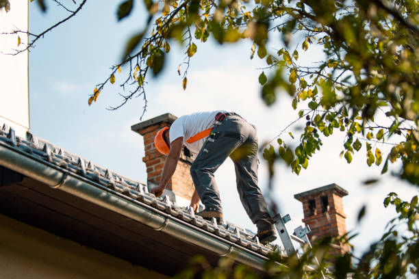 Roof Moss and Algae Removal in Waynesville, OH